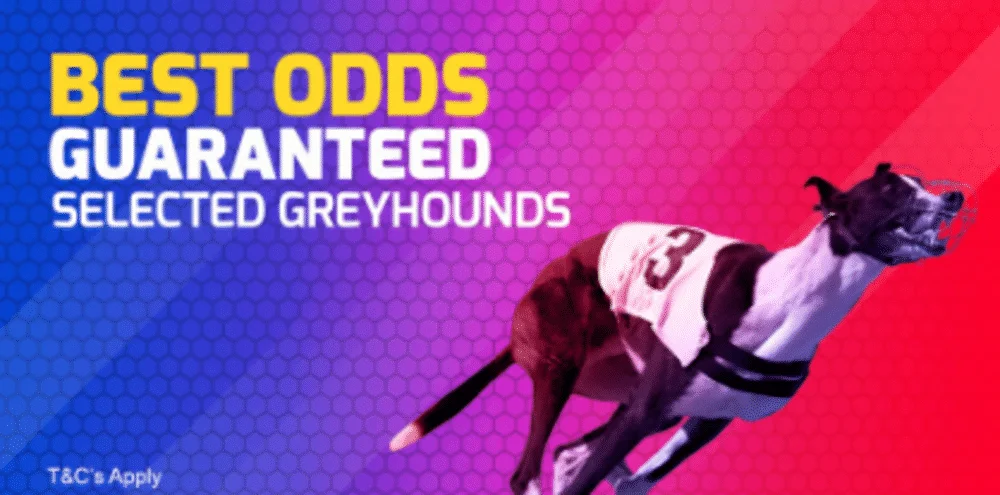 Betfred offer BOG offers on Greyhound racing